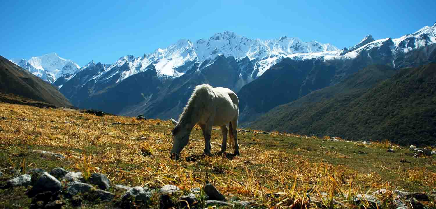 AT 0101 - ANNAPURNA BASE CAMP TREK