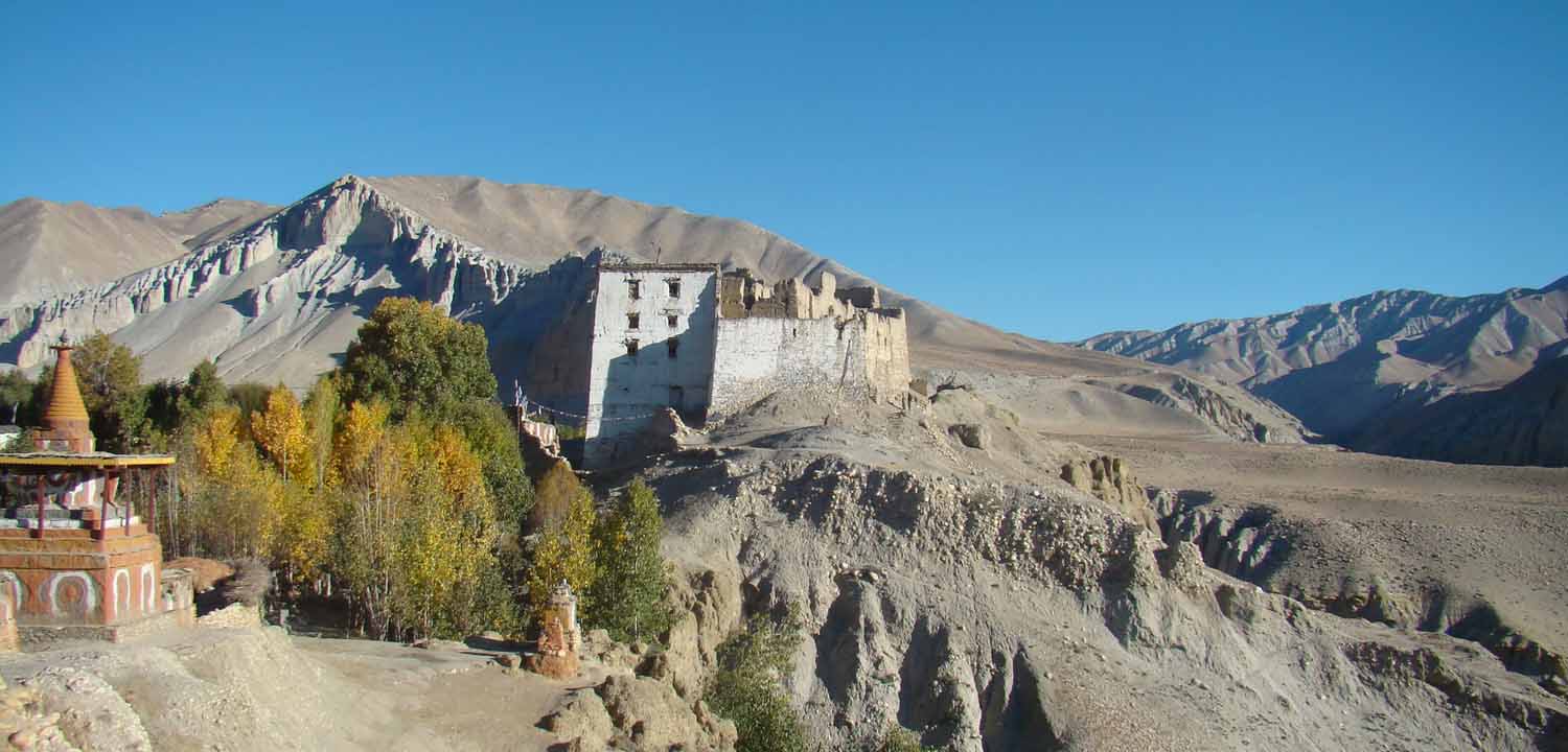 AT 0271 - UPPER MUSTANG TREK