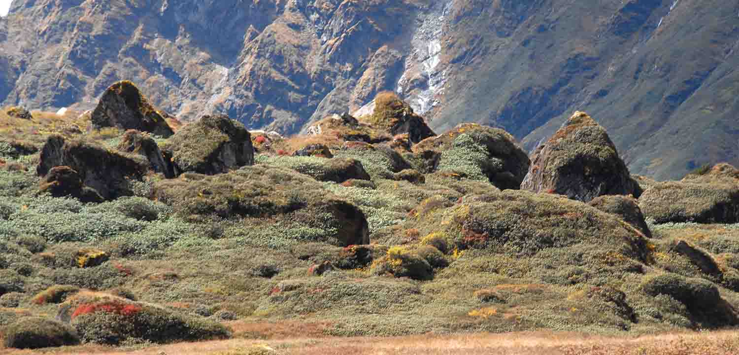 MT 003 ARUN VALLEY TREK